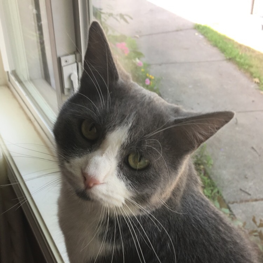 Meet your Posher, Julia